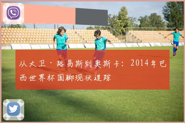 从大卫·路易斯到奥斯卡：2014年巴西世界杯国脚现状追踪