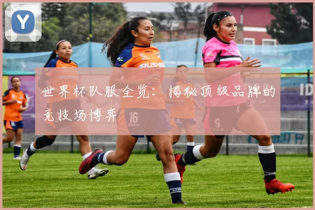 世界杯队服全览:揭秘顶级品牌的竞技场博弈