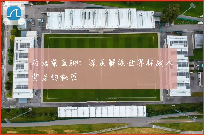 对话前国脚:深度解读世界杯战术背后的秘密