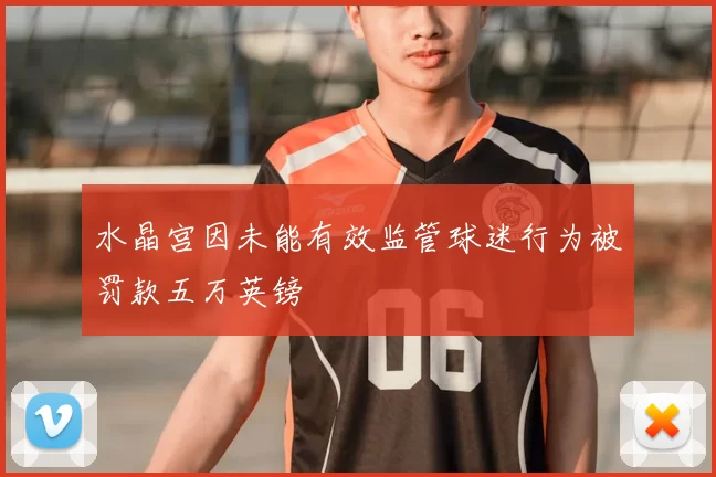 水晶宫因未能有效监管球迷行为被罚款五万英镑