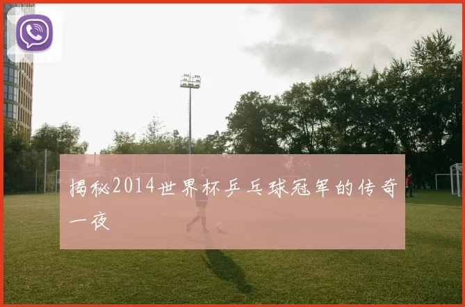 揭秘2014世界杯乒乓球冠军的传奇一夜