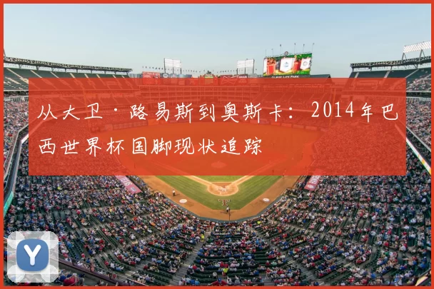 从大卫·路易斯到奥斯卡:2014年巴西世界杯国脚现状追踪