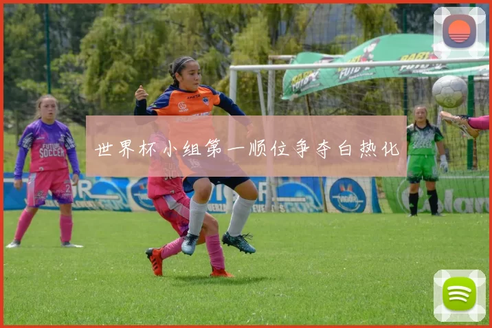 世界杯小组第一顺位争夺白热化