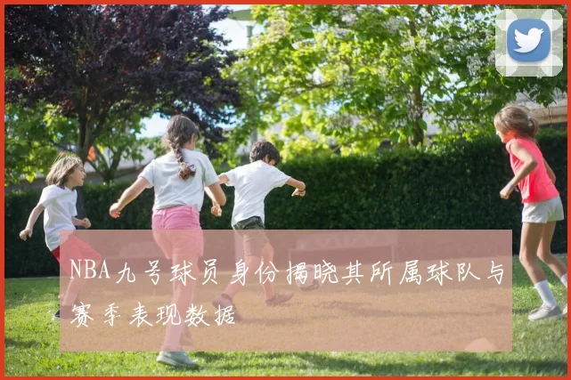 NBA九号球员身份揭晓其所属球队与赛季表现数据