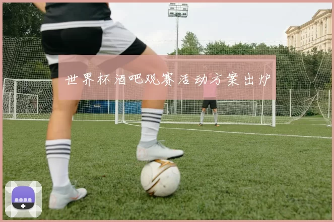 世界杯酒吧观赛活动方案出炉