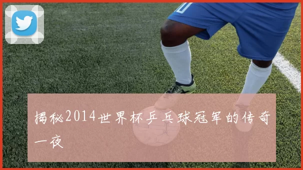 揭秘2014世界杯乒乓球冠军的传奇一夜
