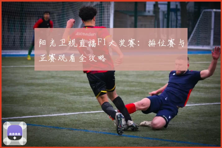阳光卫视直播F1大奖赛:排位赛与正赛观看全攻略