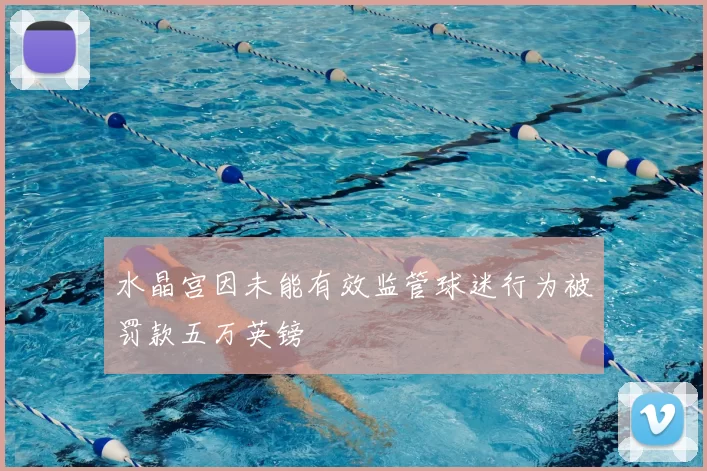 水晶宫因未能有效监管球迷行为被罚款五万英镑