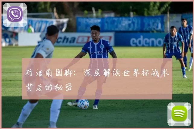 对话前国脚:深度解读世界杯战术背后的秘密