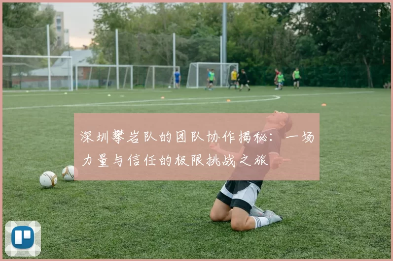 深圳攀岩队的团队协作揭秘:一场力量与信任的极限挑战之旅