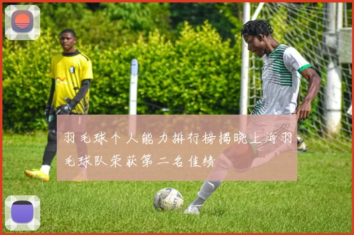 羽毛球个人能力排行榜揭晓上海羽毛球队荣获第二名佳绩