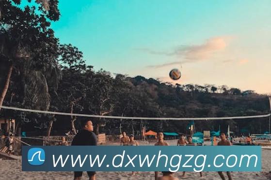 爱游戏品牌故事